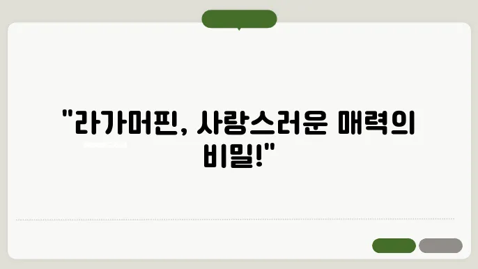 라가머핀 고양이의 매력적인 외모 특징, 외모 팁