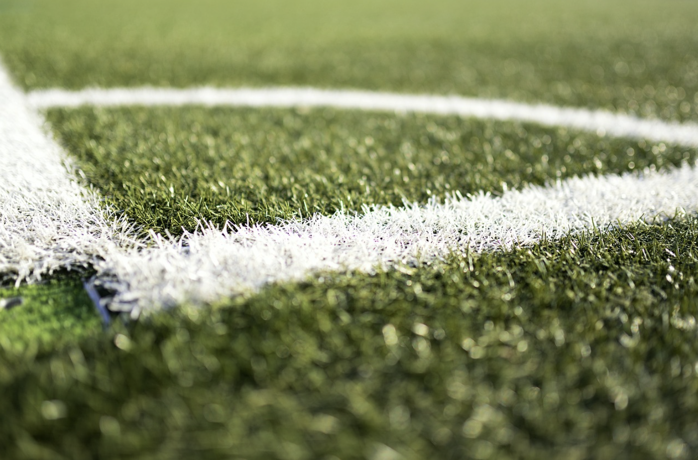 한국 팔레스타인