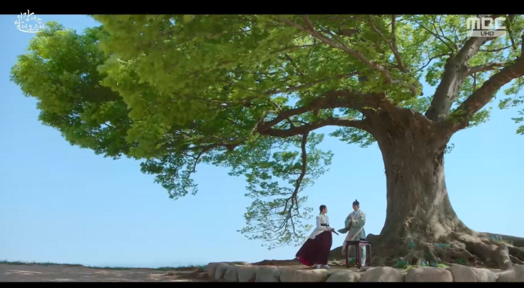 이강에는 달이 흐른다 2회 부여성흥산선 나무