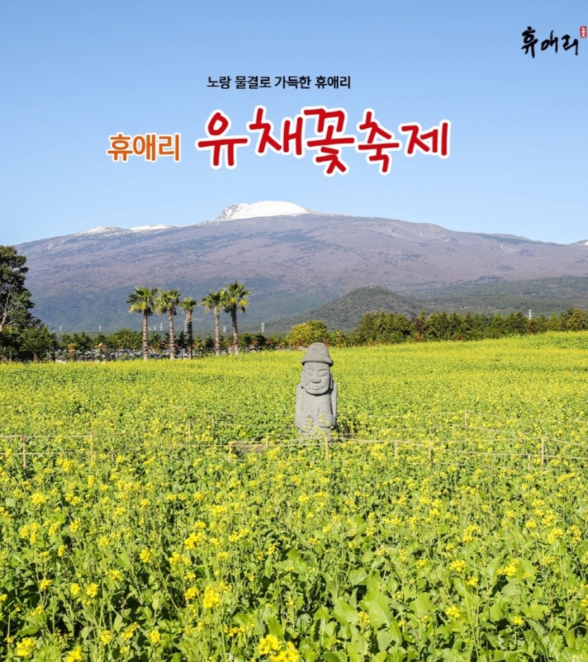 휴애리 유채꽃 축제 포스터