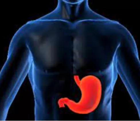 콜라겐의-효능-콜라겐-부작용-건강