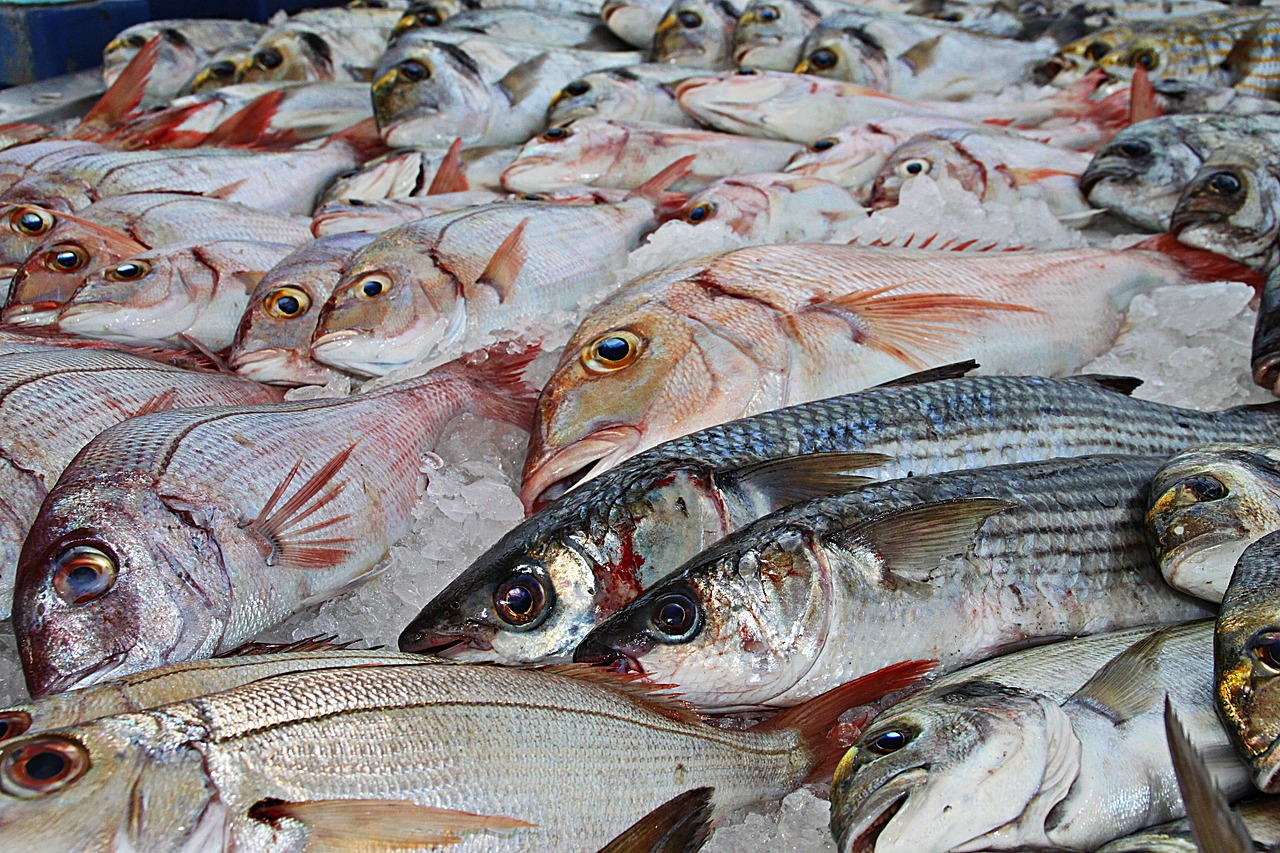 주요 할인 품목