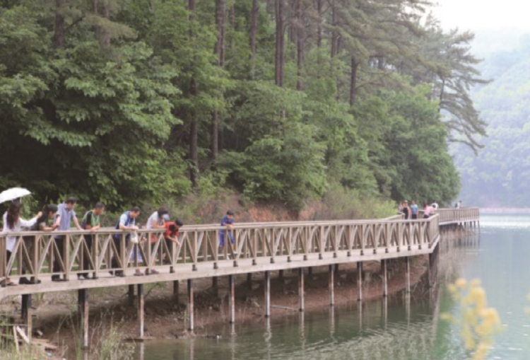 마장호수 출렁다리