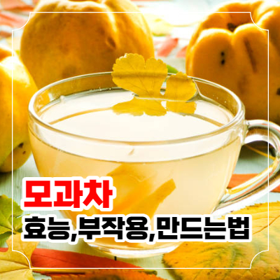 모과차 효능10가지와 부작용 및 만드는 법