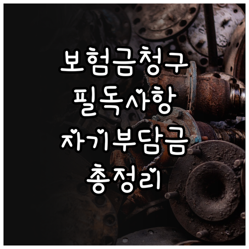 보험금 청구 전 필독 실손보험 자기부