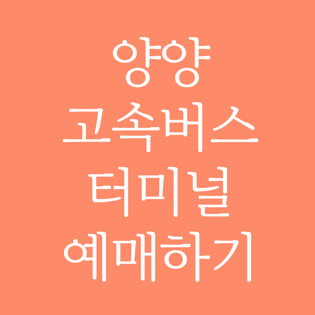 양양 고속버스터미널 시간표 조회 및 예매하기