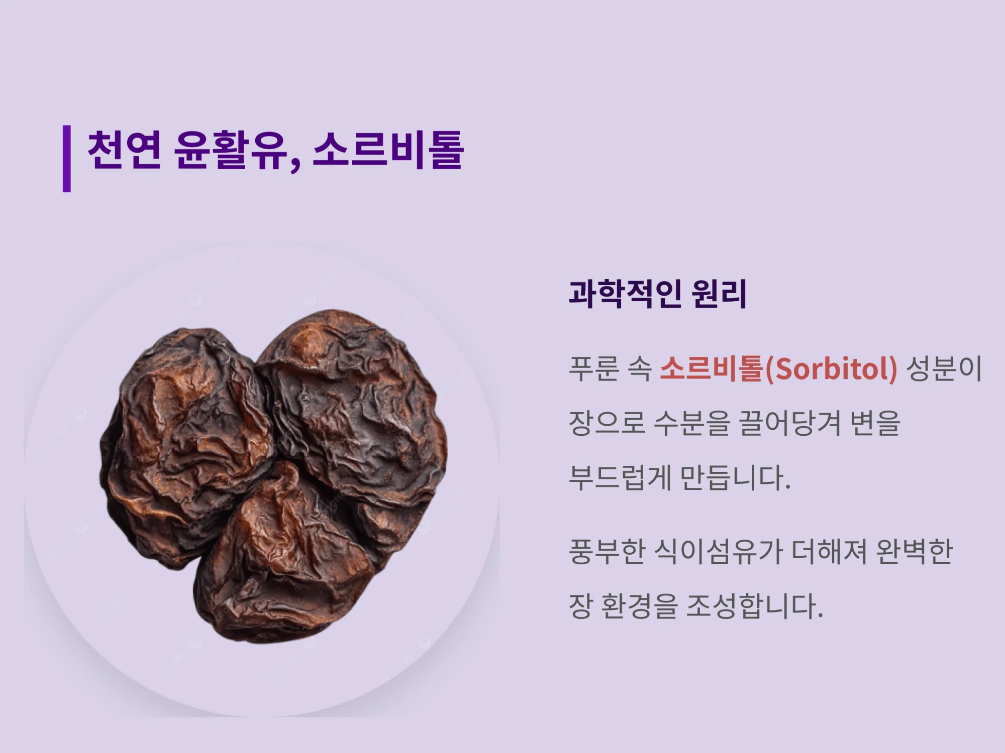잘 말려진 건푸룬 이미지와 소르비톨 성분이 장으로 수분을 끌어당겨 변을 부드럽게 만드는 과학적 원리 설명