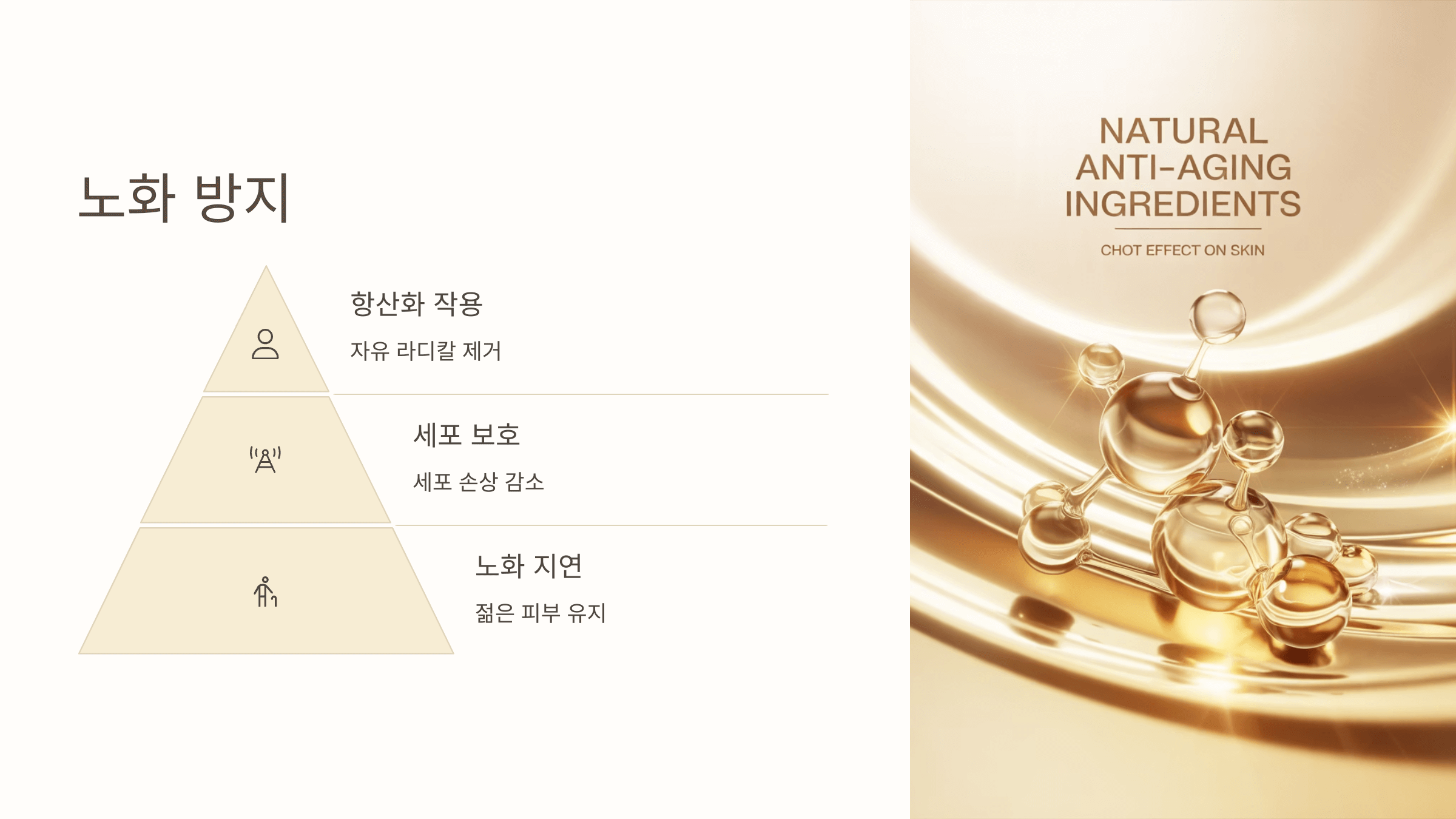 난각막 사진입니다.