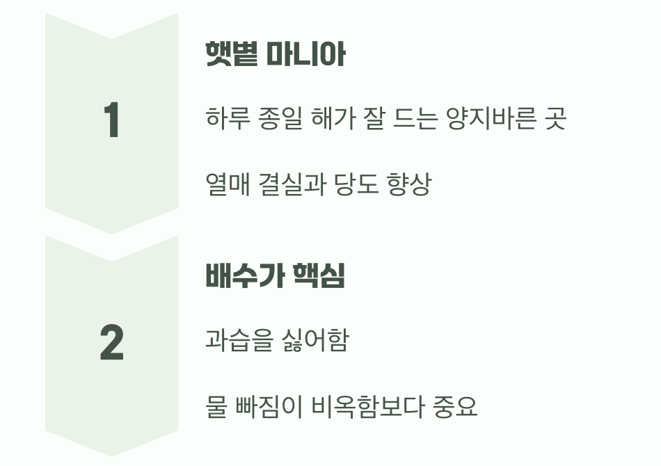 비결 1. 햇볕은 보약&amp;#44; 흙은 &amp;#39;이것&amp;#39;이 중요
