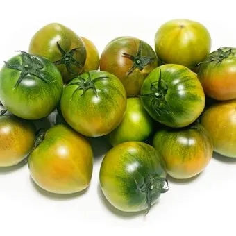 대저토마토 효능 부작용_42