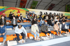 금산 인삼축제 일정