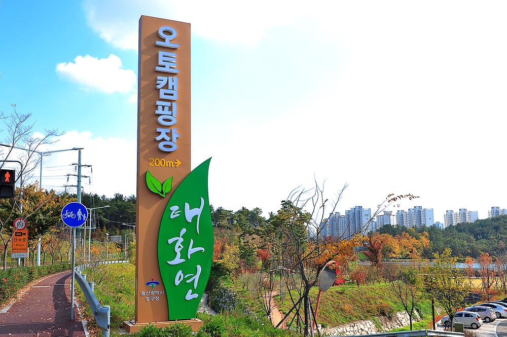 울산 중구 태화연캠핑장 소개