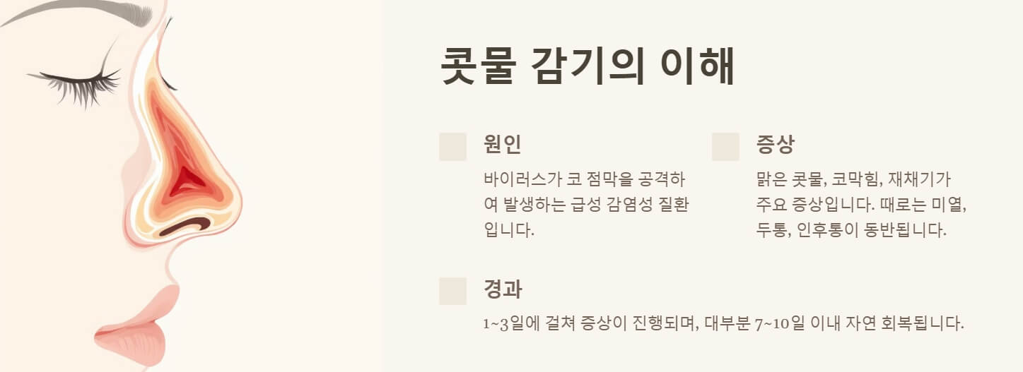 콧물 감기 빨리 낫는법