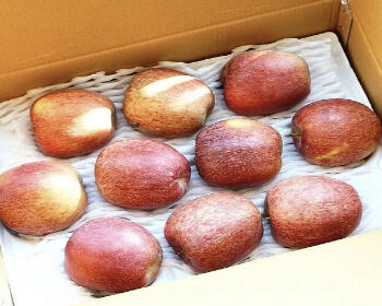 문경사과축제_8