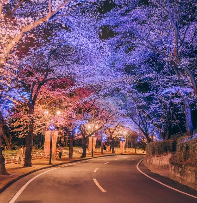 대구 이월드 자유이용권 할인