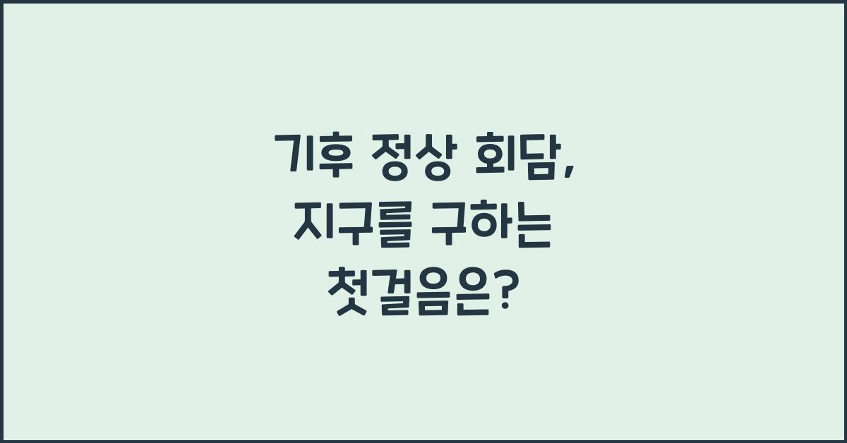 기후 정상 회담