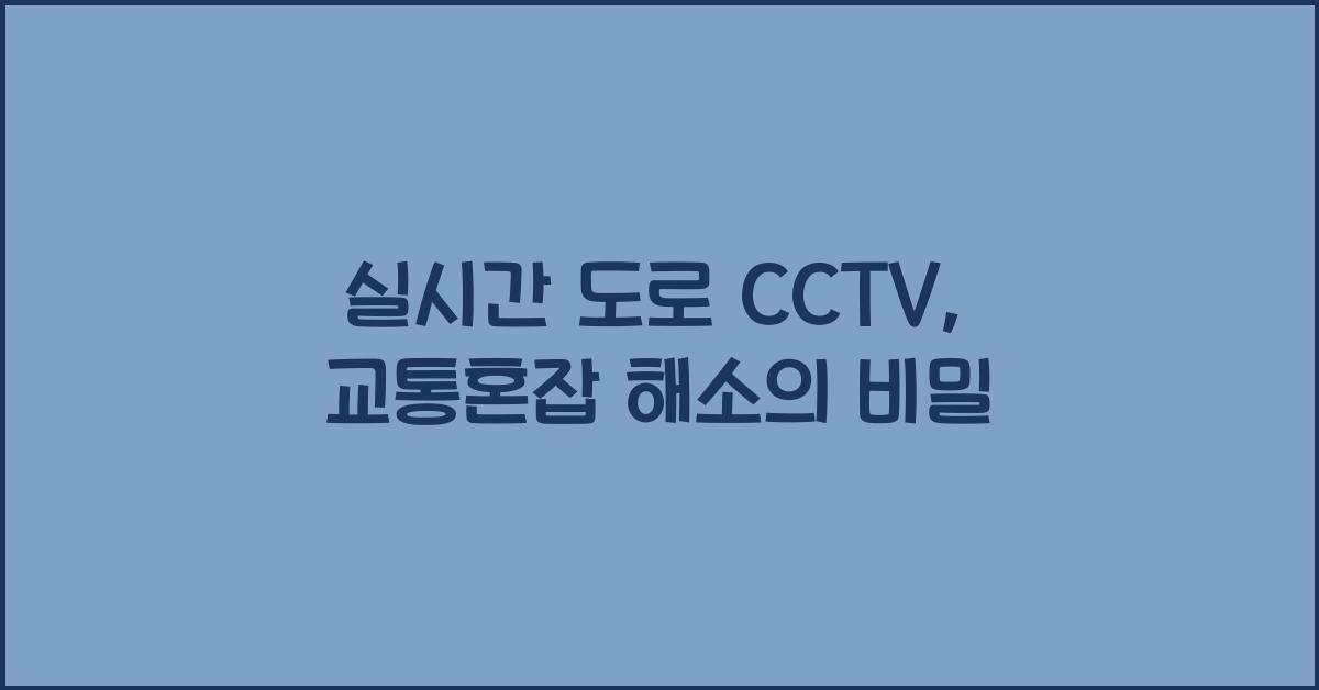 실시간 도로 cctv