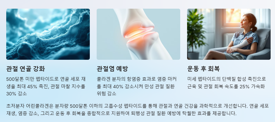 관절및 연골 건강 개선