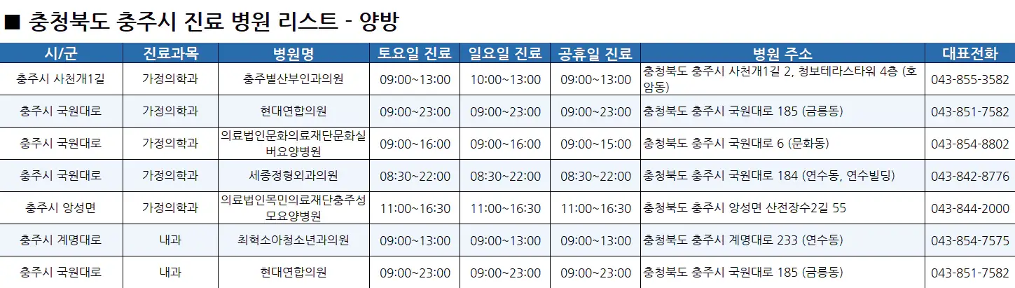 충주시-일요일-진료병원-리스트-예시