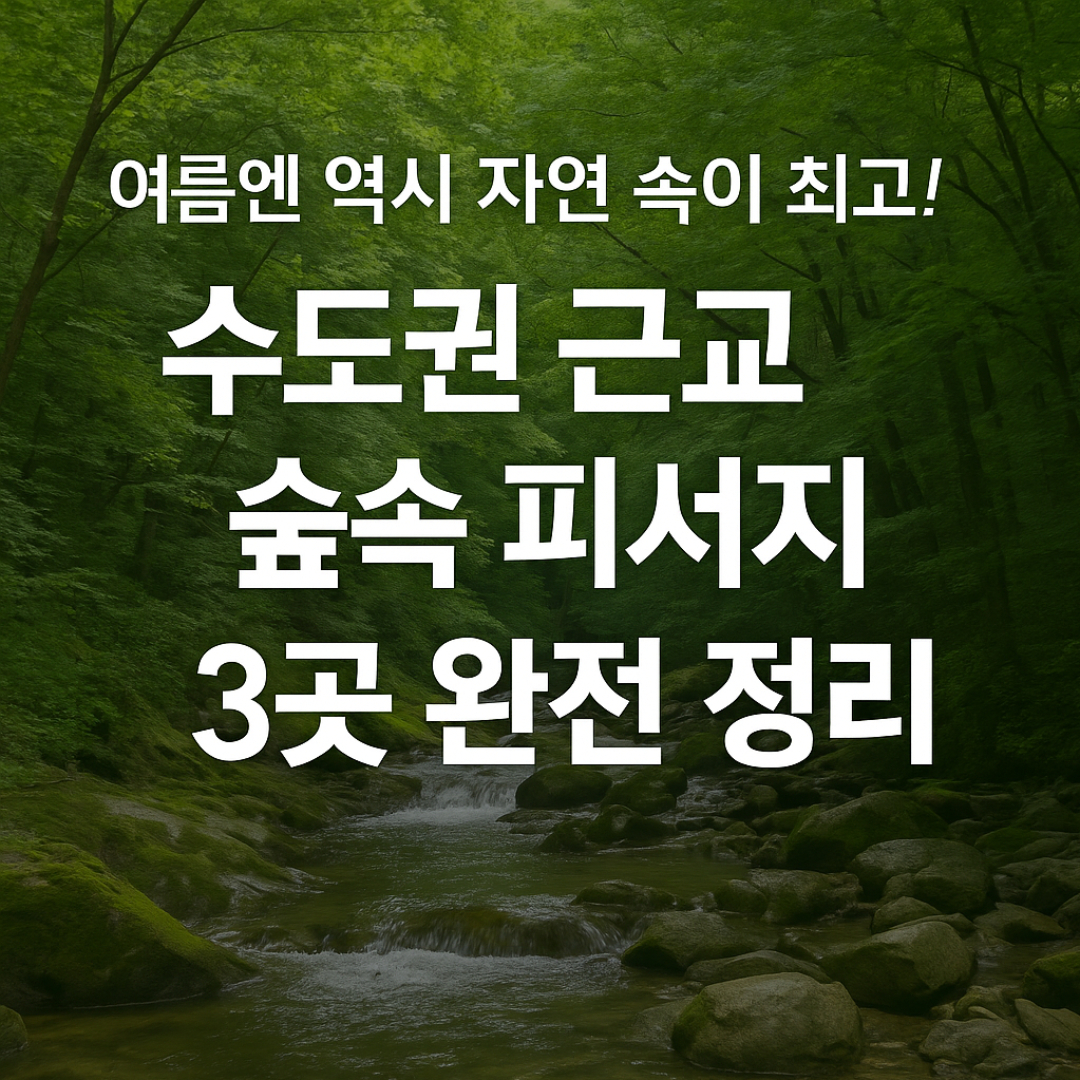 여름 수도권 자연휴양림 추천
