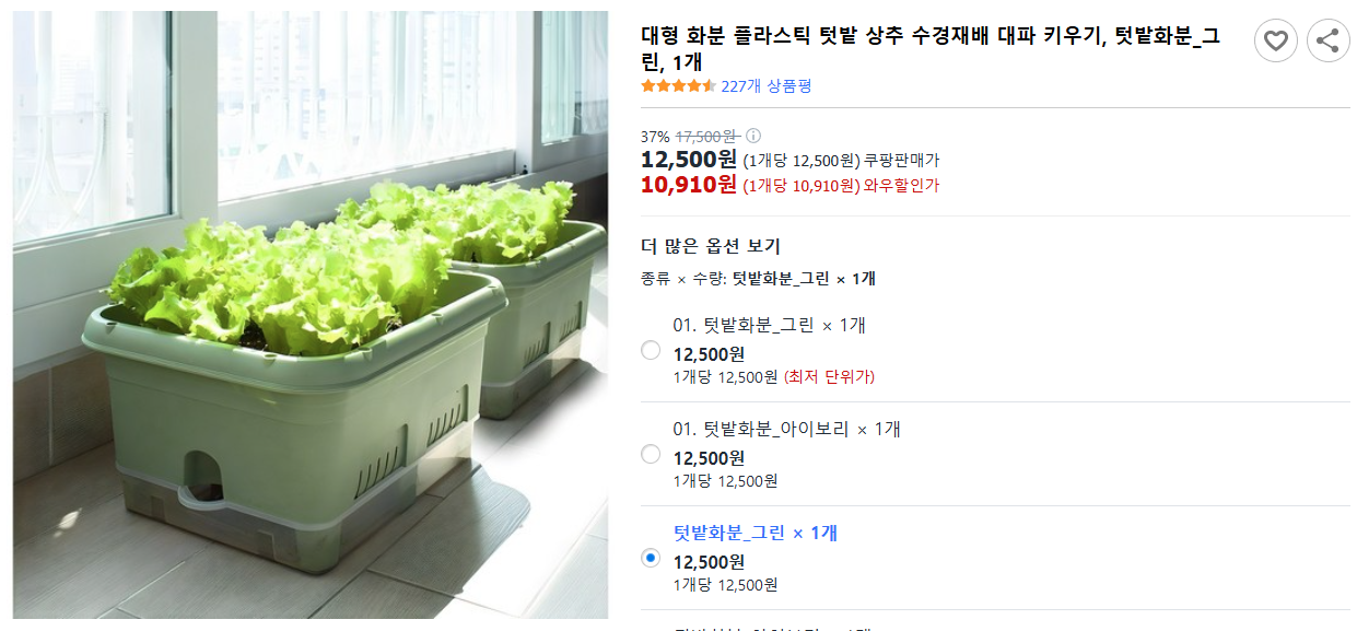 대형-화분-플라스틱-텃밭-상추-수경재배-대파-키우기,-텃밭화분_그린,-1개