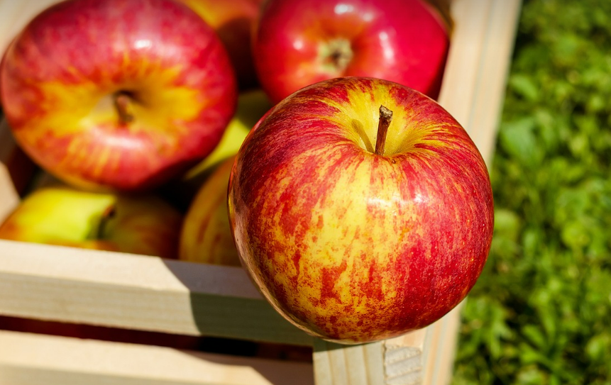 사과, 아침에 먹어야 하는 이유와 놀라운 효능