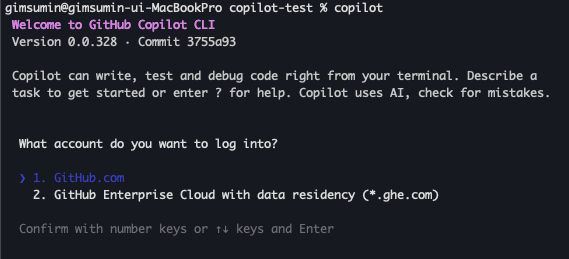 Copilot CLI 터미널에서 깃허브 로그인으로 인증 진행하는 화면