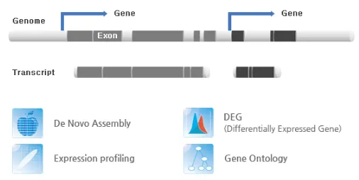 뱅크샐러드 유전자 검사