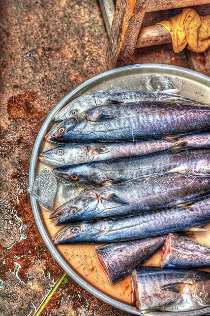 9월 제철 해산물로 즐기는 건강한 식탁