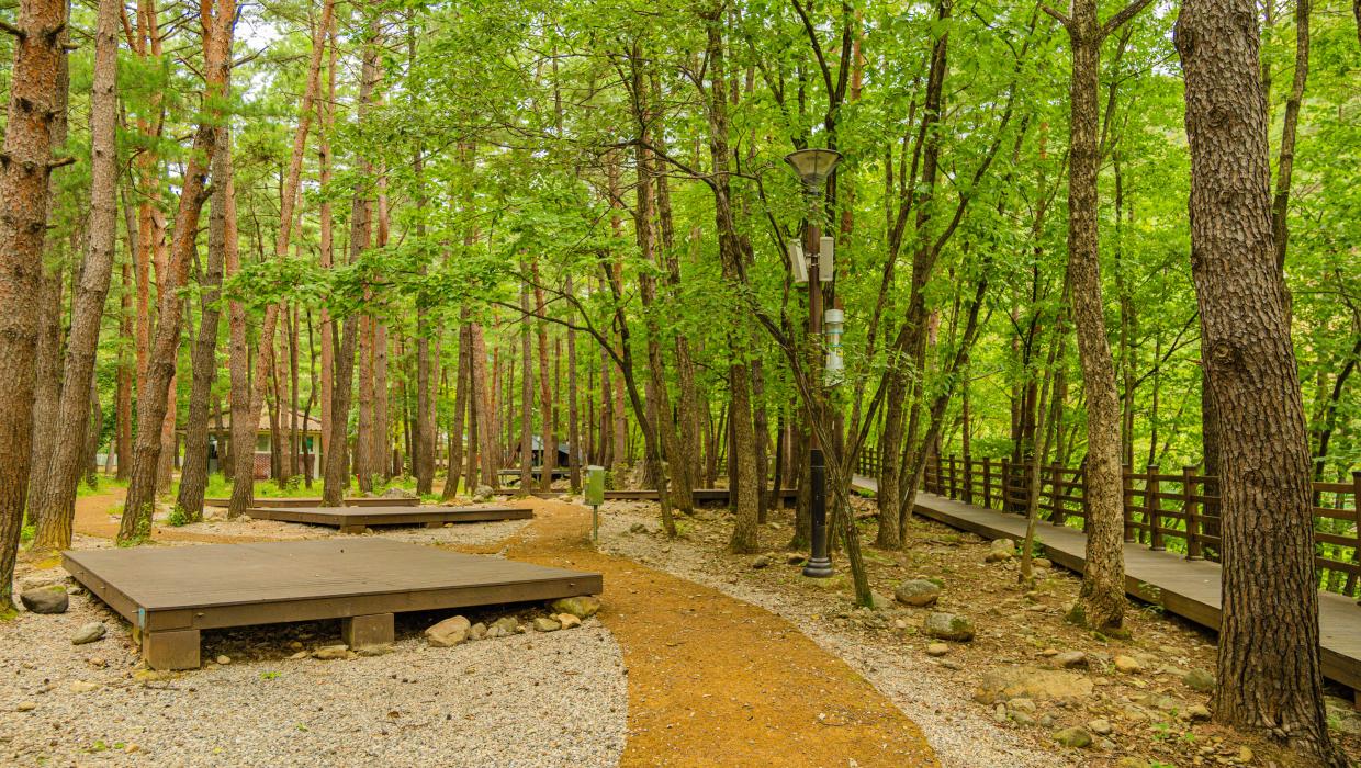 동해시 무릉계곡힐링캠핑장 소개