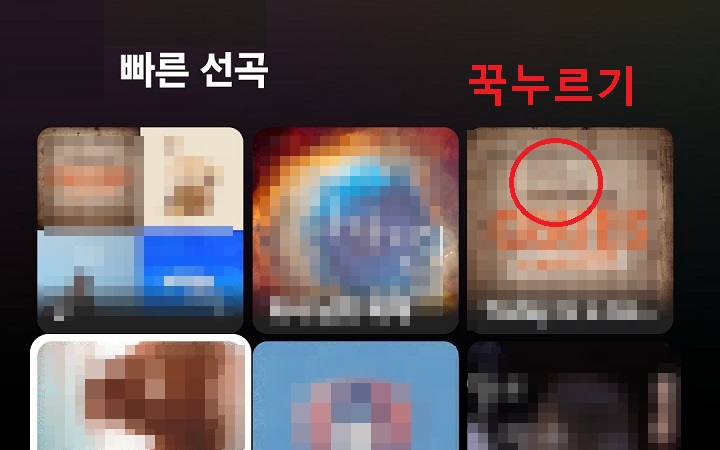 빠른 선곡란 보임