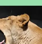 피로회복에 좋은 음식과 스트레칭