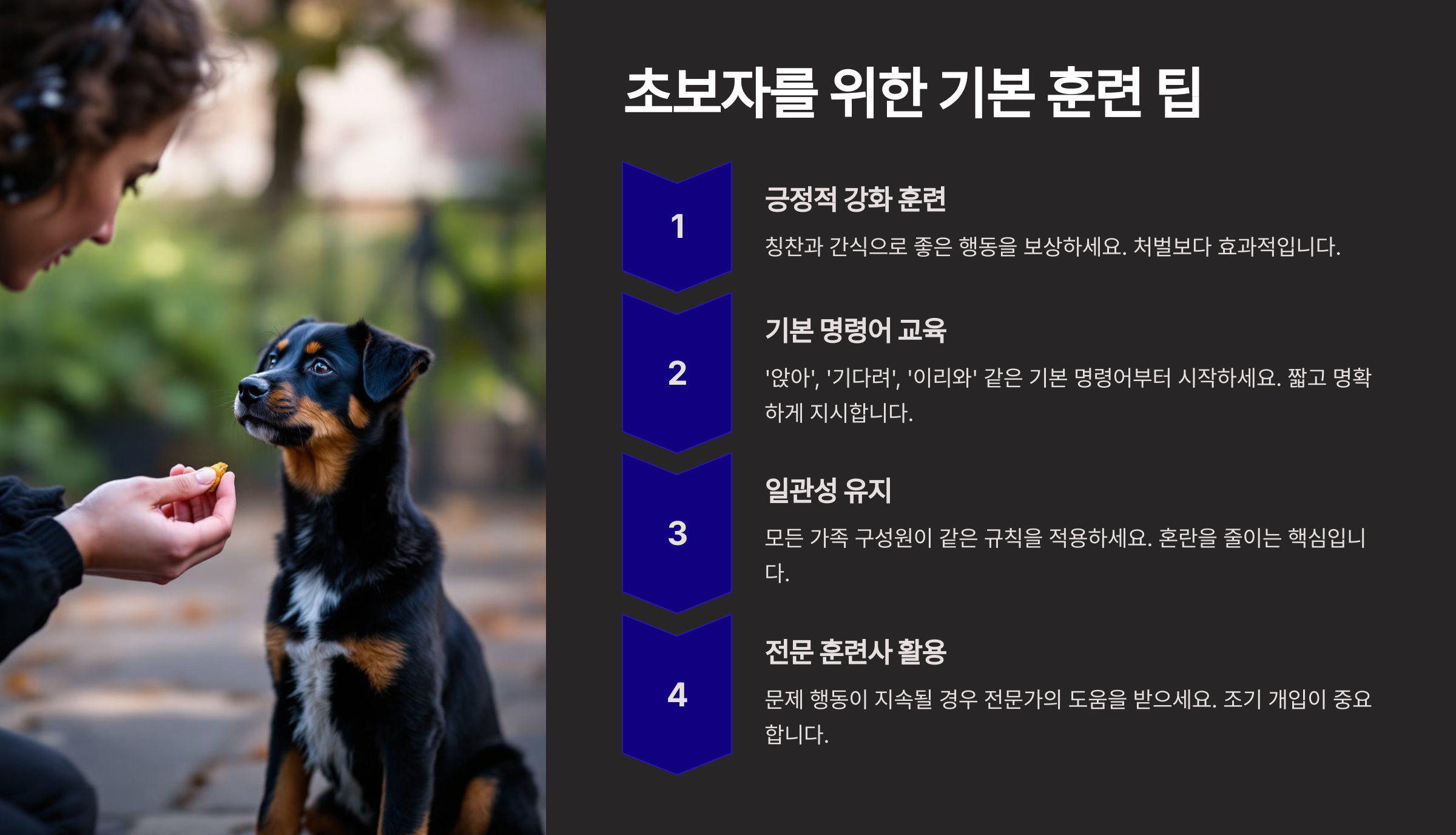 반려견 키우기 완벽한 초보 가이드