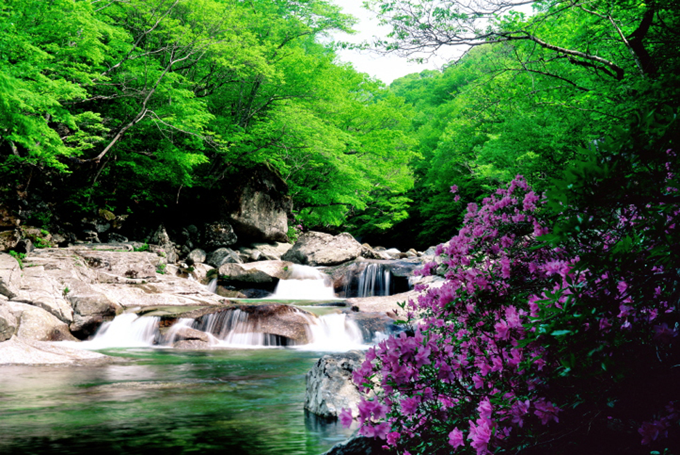지리산 대표경관
