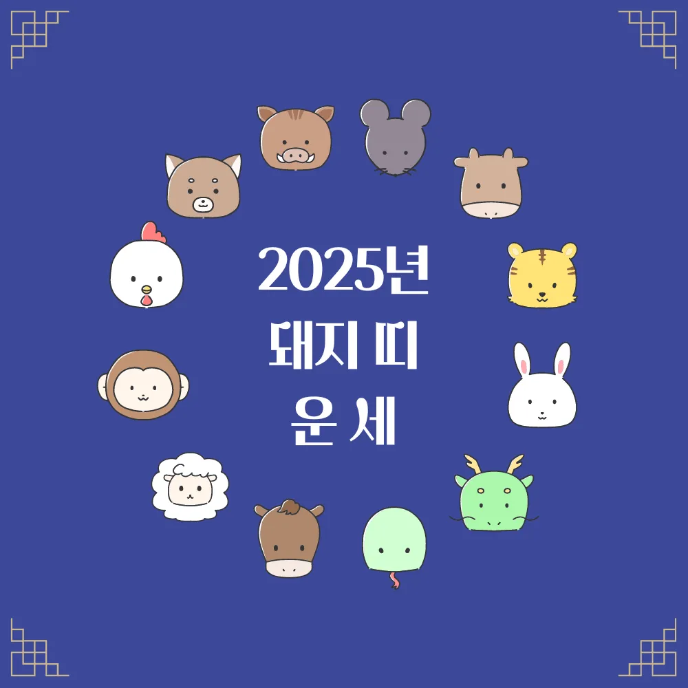 2025년 돼지띠 운세 썸네일