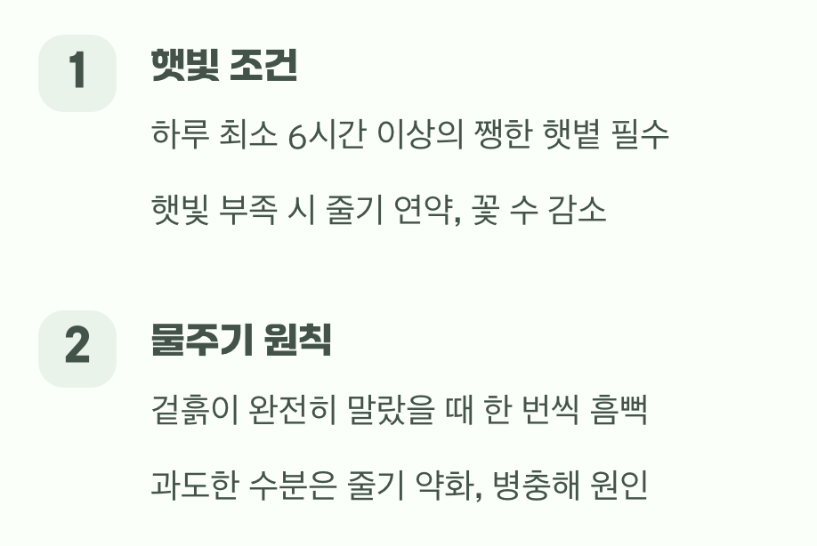 햇살은 보약, 물은 가끔씩만
