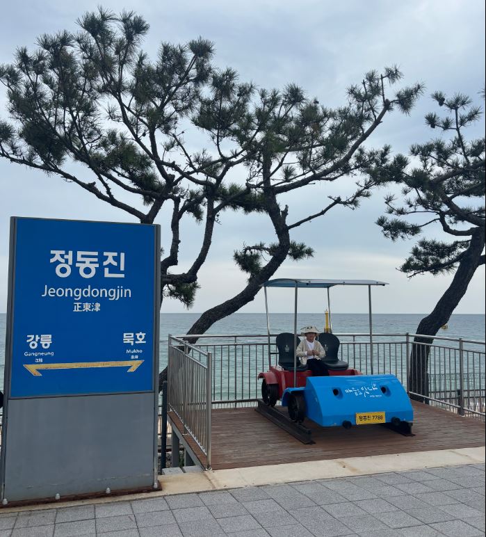 정동진 레일바이크 예약 시간 방법 요금 주차 후기 강릉여행