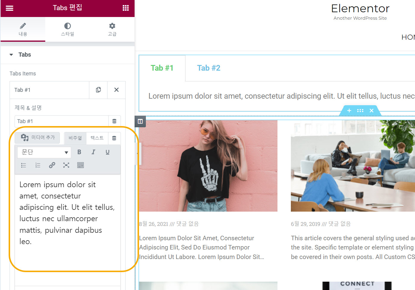엘리멘터 페이지 빌더 탭 FAQ 페이지