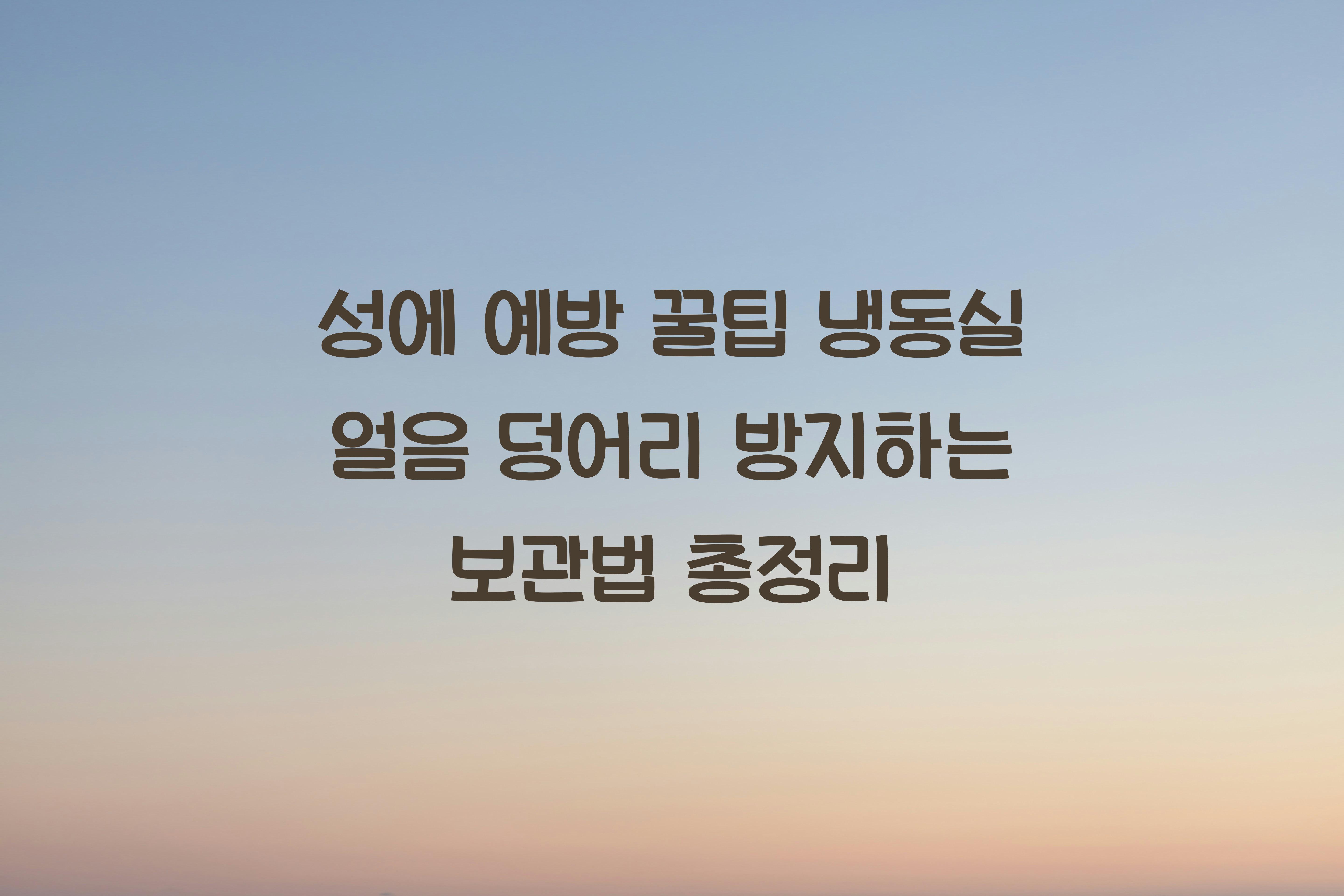 냉동실 얼음 덩어리 방지하는 보관법