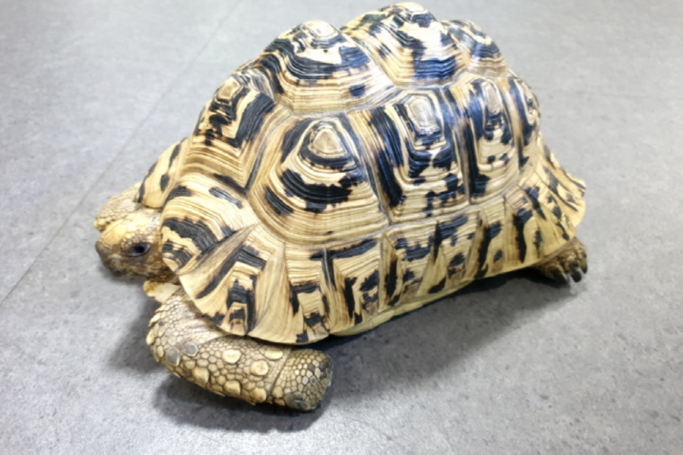 부천 자연생태공원