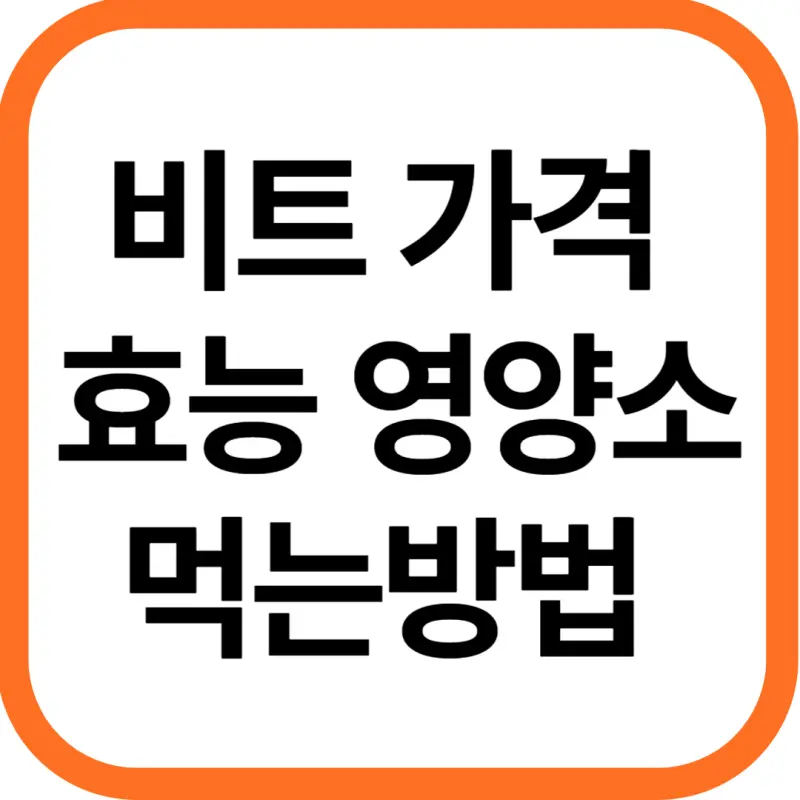 비트 가격 및 효능, 영양성분과 먹는 방법