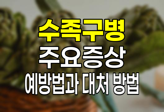 수족구병이란? 증상부터 예방법까지 완전 정리