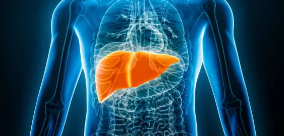 지방간의 발생원인, 치료법