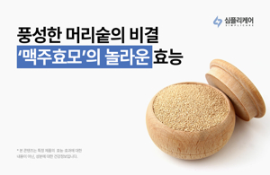 맥주효모추천