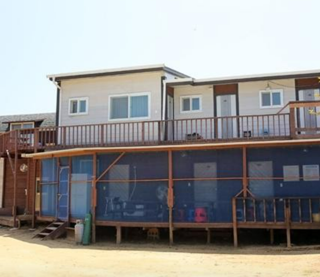 6시내고향 대맛조개 체험 택배 구입 문의 