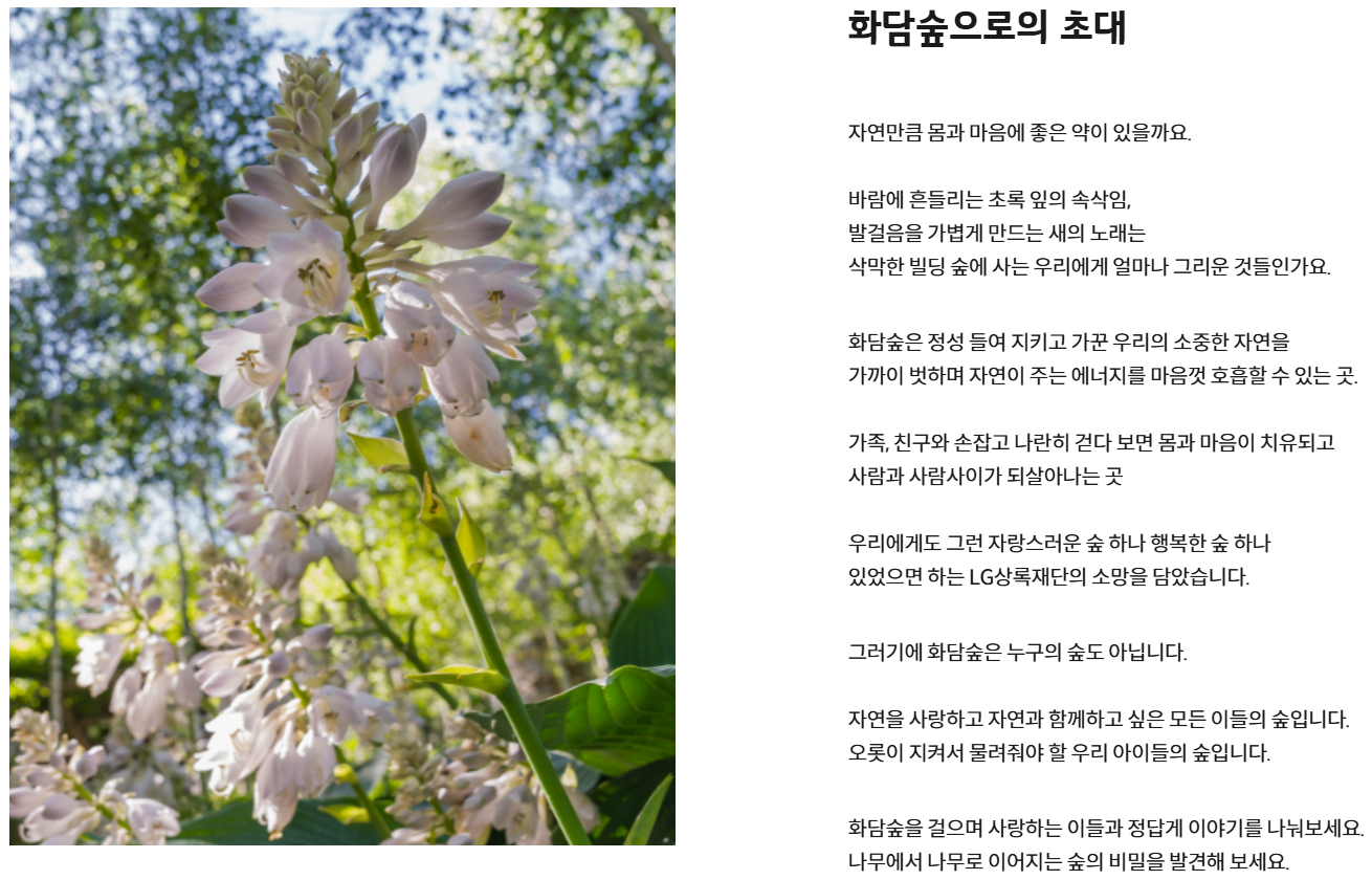 화담숲 예약 일정&amp;#44; 화담숲 입장료 16