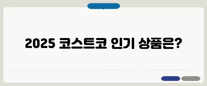 코스트코 추천상품 2025년 베스트리뷰 기준