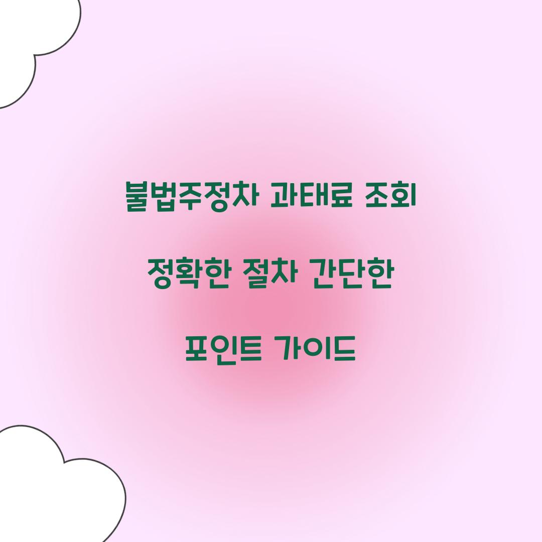 불법주정차 과태료 조회