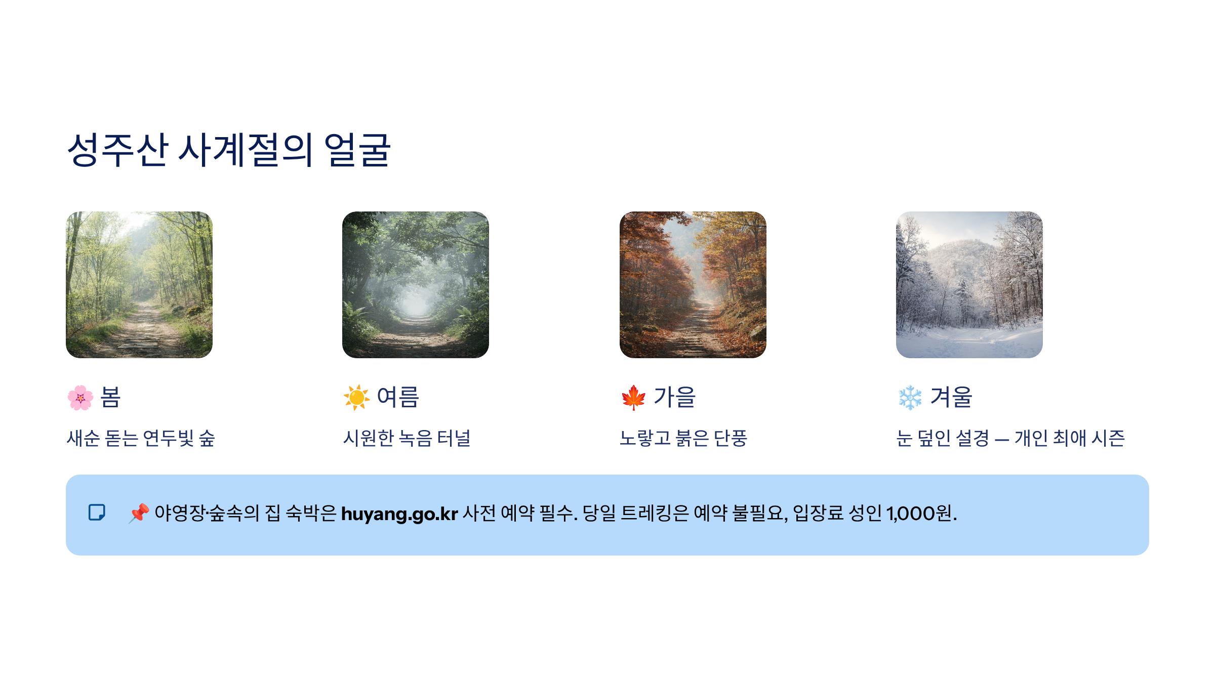 보령시 근교 산책·달리기·트레킹 명소 완벽 가이드 ❘ 머드축제 도시의 숨겨진 자연 액티비티