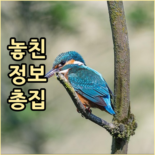 고지혈증 식단, 이것만 기억하세요! 